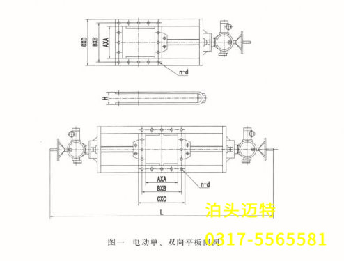 電動(dòng)單、雙向平板閘閥